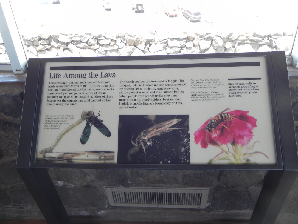 DSCN5492.JPG